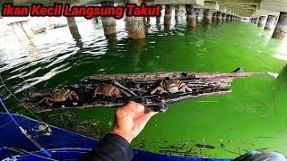 Nemu Pas Air Mulai Naik!! Langsung Jadikan Umpan, ikan Kecil Langsung Takut.