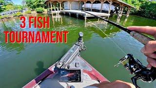 Bass Fishing Tournament on a weekday?! Lake Anna Virginia