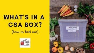 What's in a CSA Box?