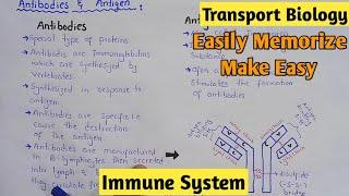 Immunity | Immune System | Active Immunity And Passive Immunity | Antibodies | Antigen | Biology