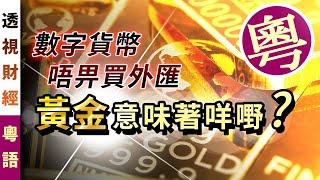 數字貨幣唔畀買外匯、黃金意味著咩嘢？｜「透視財經」【0010】SinoInsider 20201020