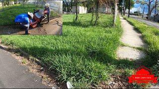 Cutting Really Overgrown Yard In THE HOOD (major transformation)