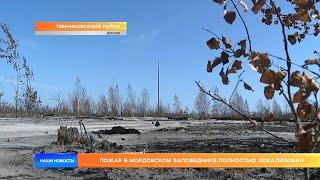 Пожар в Мордовском заповеднике полностью локализован