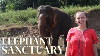 Visiting an ELEPHANT SANCTUARY | Chiang Mai, Thailand