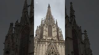 Cathedral de Barcelona #travel   #shorts