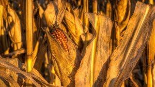 Natuurlijke tips tegen vocht vasthouden