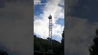 Swing in Rotorua.. #psaucklandwale #newzealandtourism #placestovisit #swing #shortvideo #shortsviral