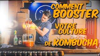 Comment "Booster" et entretenir votre culture de kombucha