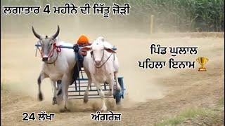  Ox race Ghulal (SAMRALA) 1st   ਬੈੱਲ ਗੱਡੀਆ ਦਿਆ ਦੌੜਾ ਪਿੰਡ ਘੁਲਾਲ (ਸਮਰਾਲਾ) 3/5/2024 ਪਹਿਲਾ ਇਨਾਮ 