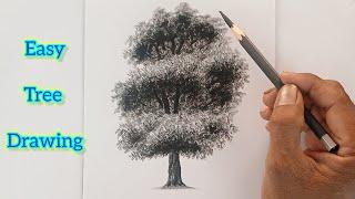 How to draw sketch a tree for beginners.