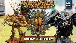 Warhammer The Old World | Wood Elves vs Orcs & Goblins | BR#06