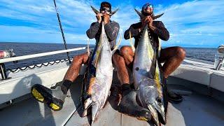 TRIPLE DIGIT YELLOWFIN TUNA BAHAMAS!  (Live Bait)