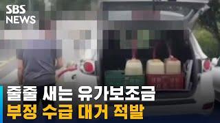 줄줄 새는 유가보조금…부정 수급 수법도 '다양' / SBS