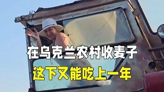 丈母娘在烏克蘭農村收小麥，直接滿滿一大車：這下又能吃上一年！