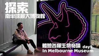 欸冷旅行｜生物大驚奇墨爾本博物館、快閃唐人街、超市乳酪好多種｜澳洲墨爾本自由行#9
