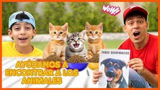 Jason y Alex pierde al perro juega con gatitos y se embarca en una aventura | Jason Vlogs ESP