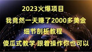 2023最新零成本网赚项目，零成本赚钱项目，新手上手快，3天稳赚5000刀，巨细教程