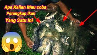 Seumur Hidupku Baru Kali ini Mendapatkan Ikan Nila Besar dan Sebanyak ini