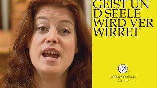 J.S. Bach - Kantate BWV 35 "Geist und Seele wird verwirret" (J. S. Bachstiftung)