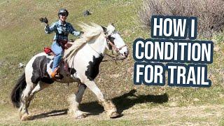 Getting Them in Shape: Draft Horse Trail Riding