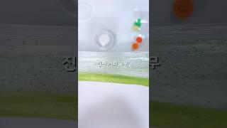 소문으로만 듣던 #다이소 #갓성비 #슬라임  진짜 괜찮은데..? #slime #asmr