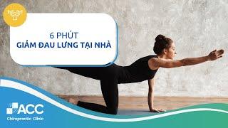6 bài tập thể dục chữa đau lưng hiệu quả với 6 phút mỗi ngày | ACC