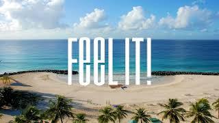 Notiluz - Tropic (Feel it!) - Copyright Free Music