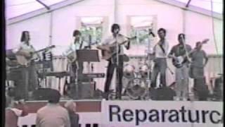 The Loser Mountain Boys - Blue Ridge Mountain Blues (Live, 1984, Grundlsee Austria)