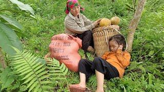 The life of an 18 year old single mother Harvesting Grapefruit Picking Vegetables to Sell