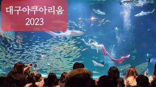 20230110화, 대구아쿠아리움