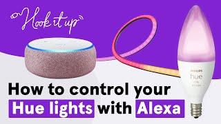 How to connect your smart lights to Alexa | Hook It Up