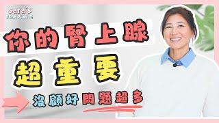 學校沒教的腎上腺秘密！他如何影響你的健康？｜Sara的健康大解密 EP.22｜賴宇凡Sara