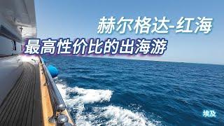 埃及红海-赫尔格达 性价比最高的出海浮潜