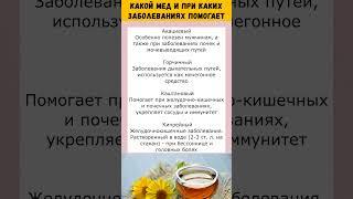 Какой мед и при каких заболеваниях помогает | ПОЛЬЗА МЕДА