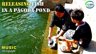 A woman and her son release fish in a pagoda pond l Free music Easy Shake  Geographer