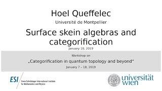 Hoel Queffelec - Surface skein algebras and categorification