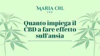 Quanto impiega il CBD  a fare effetto sull'ansia | Maria CBD Oil