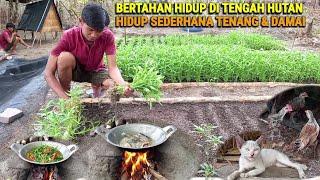 Goreng ikan,Tumis kangkung, Tanam kangkung, kehidupan dihutan berkebun & beternak. CR-65