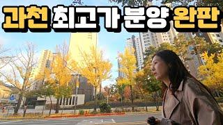 과천 4단지 역대 최고가 분양 완판 | 과천 임장 1화