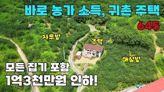 1억3천만원 인하! 모든 집기 포함, 넉넉한 과수원 및 텃밭 활용 농가 소득과 함께 귀농 귀촌을 위한 준비가 완료된 남향의 전망 좋은 전원주택 매매 - 백문부동산 문소장