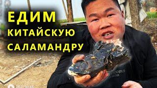 Необычная еда. Уха из огромной саламандры.