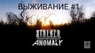 выживание в stalker anomaly #1