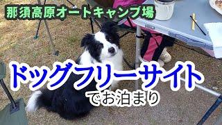 ドッグフリーサイトで愛犬と泊まれる　那須高原オートキャンプ場