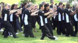 Dr Paul Lam | Tai Chi for Arthritis | Demonstration