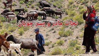 نجات مادر و پسر دایکندی از چوپانی در جاغوری | مکتب به جای چوپانی