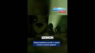 Новости Пёсграда: бандиты и магический камень (Барбоскин ньюз) #новости #барбоскины #прикол