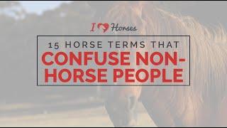 15 Horse Terms That Really Confuse Non Horse People