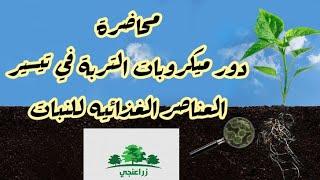 دكتور محمد البدوي | دور ميكروبات التربة فى تيسير العناصر الغذائية للنبات .. ندوة شركة نيوفيوتشر جرين