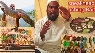 murrel fish pakdane ka Tarika|murrel fish Bait|snakehead fishing