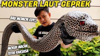 MASAK BELUT MONSTER RAKSASA. SUSAH MATENGNYA, LENDIRNYA GURIH ASIN.